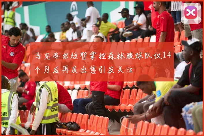 马克洛尔短暂掌控森林狼球队仅14个月后再度出售引发关注