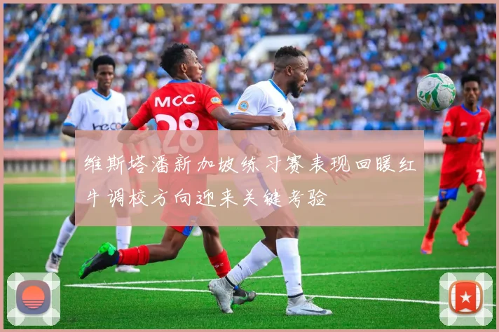 维斯塔潘新加坡练习赛表现回暖红牛调校方向迎来关键考验